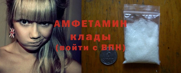 твердый Мегион