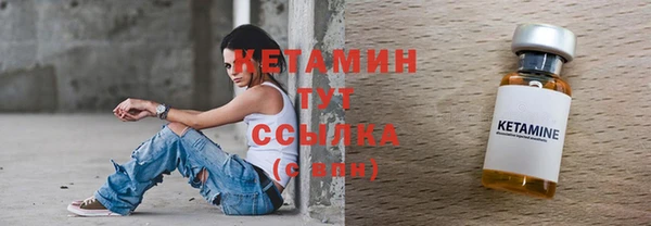 твердый Мегион