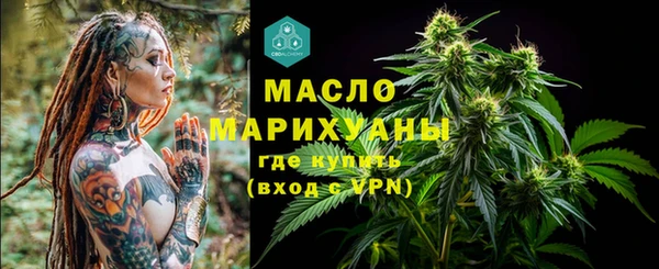 твердый Мегион
