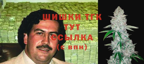 тгк Медвежьегорск