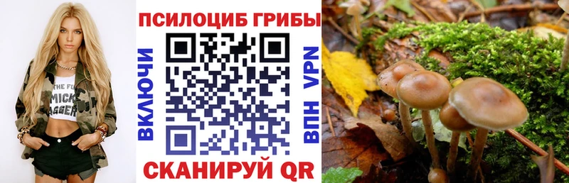 Купить закладки  Темрюк  Галлюциногенные грибы ЛСД 